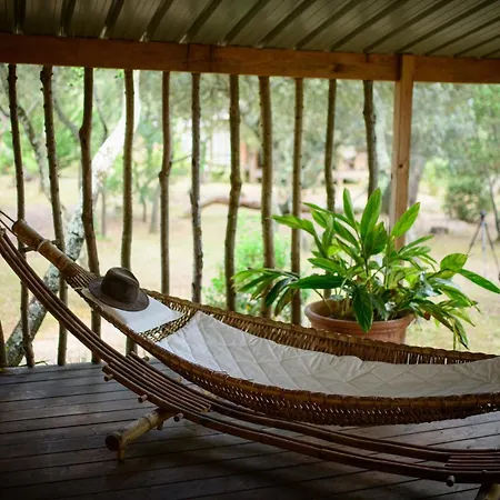 Vanille 4* Boisseron