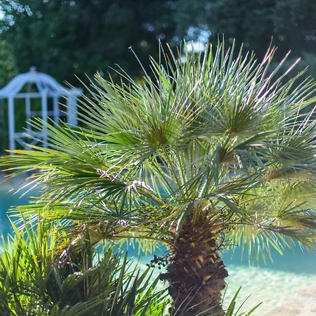 Vanille 4* Boisseron